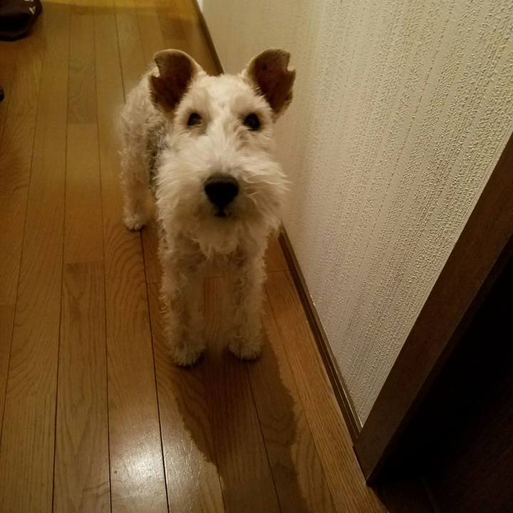 E6e7abff b76b 40d9 b04c c7090730f7dd