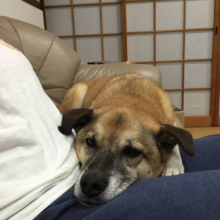 E6e8def5 46d8 4cd7 9e51 e1b59645e2be