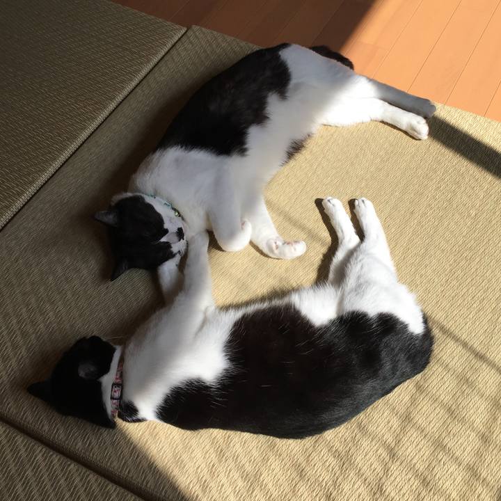 E6e999e0 226c 4873 a885 eeb28062a2f2