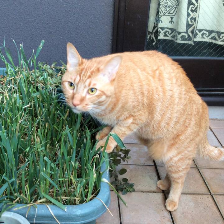 E6ea10a6 f29d 4f3e 80fc 0cec64f8cb6f