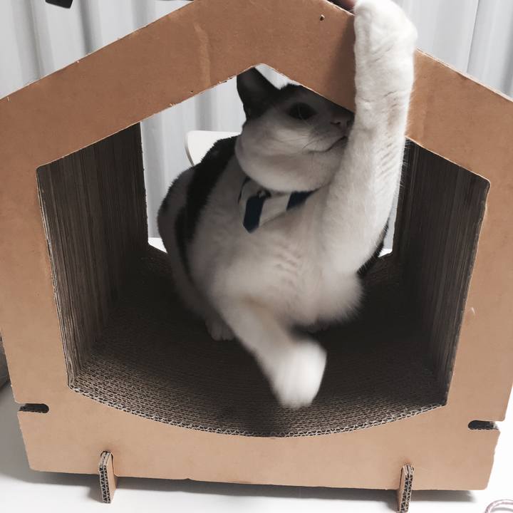 E6ea8793 32fa 44c5 a02d 551a5f08ca52