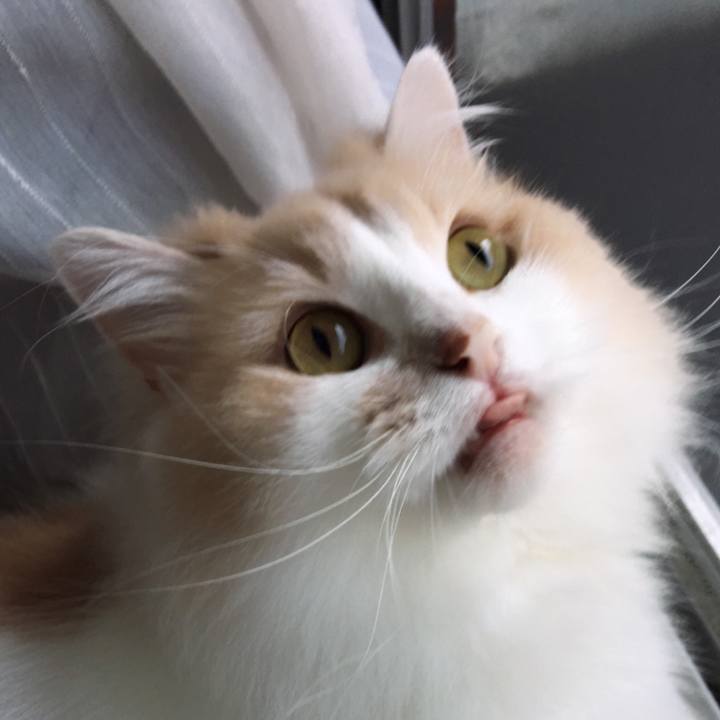 E6eb382f 230e 4154 ad25 e7df53130fc1