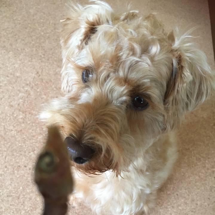 E6ebb47b 84be 4cf0 8ba9 a4d1ac14bf46