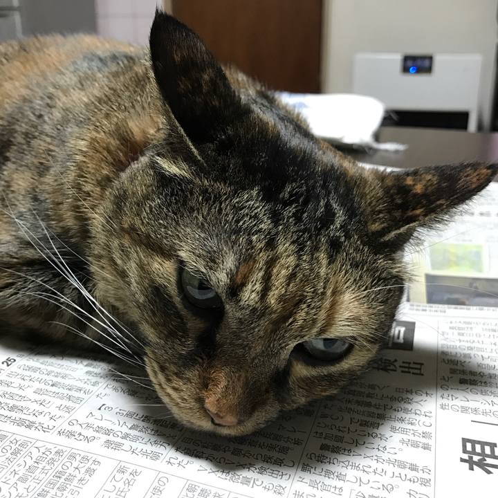 E6ed250d 734a 46ce af68 5369ccc3b838