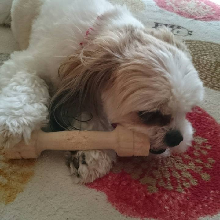 E6ed678c 015d 4164 bf4b b67c993908ae