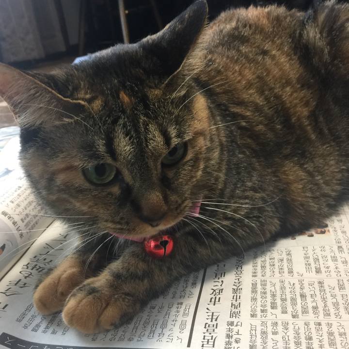 E6ee1390 795f 4f76 9624 929f332f06b7