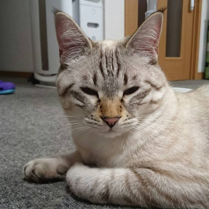 E6eed44f 0ced 468b a924 03f3d16409b2