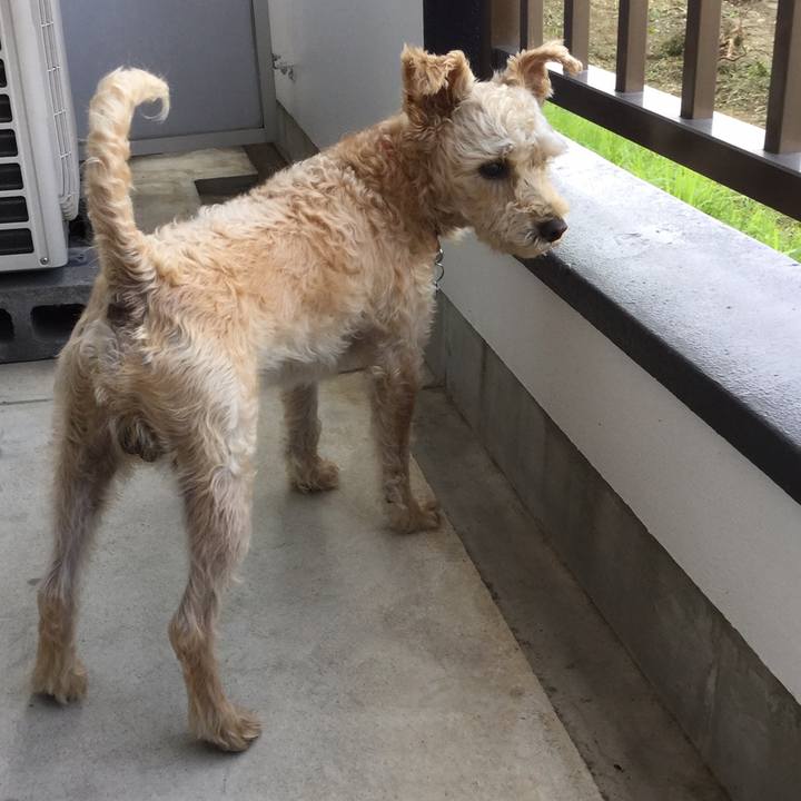 E6ef279e 09ea 435b b0ef 21e7e1c10039