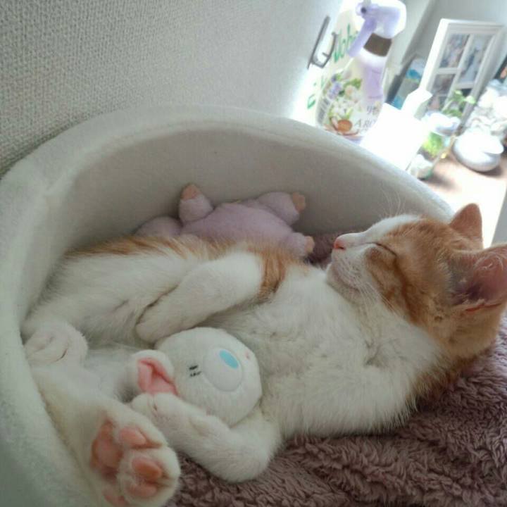 E6ef9340 3a2d 418e a21d 2ccd37bad22f