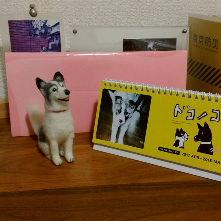 E6f00781 7022 48e4 b202 baeb44be1a41