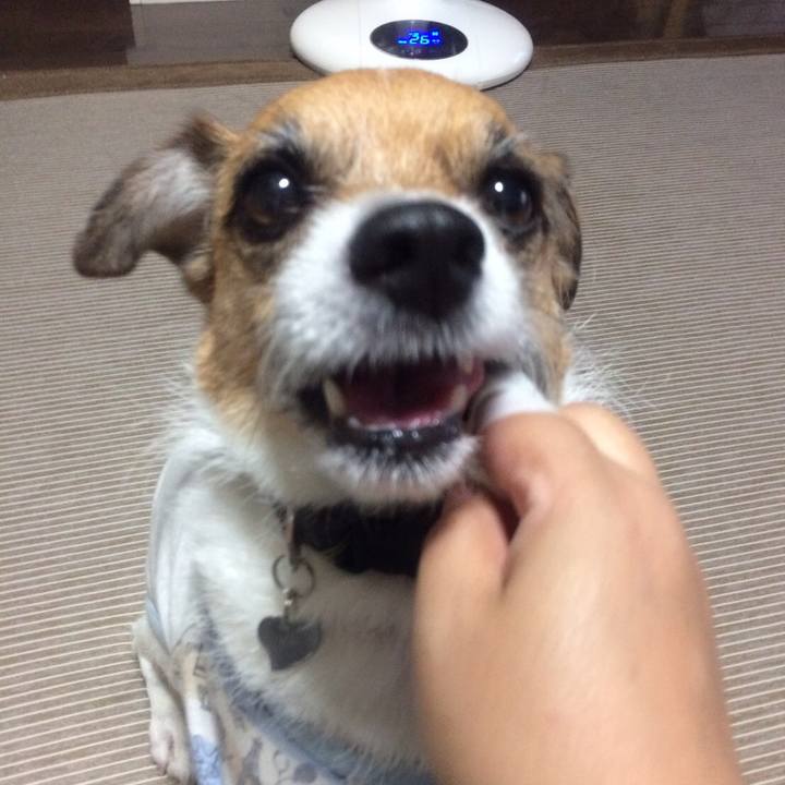 E6f01ebf 382d 498c a793 c63dadff2606