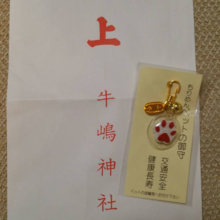 E6f1ceaf ce53 4893 bb57 06fa591c6453