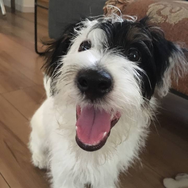 E6f1e37c 7c3f 421a bafc 1ac1b9d8b95e