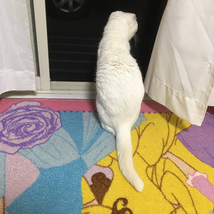 E6f2253e 72db 4625 b417 868efce1a05d