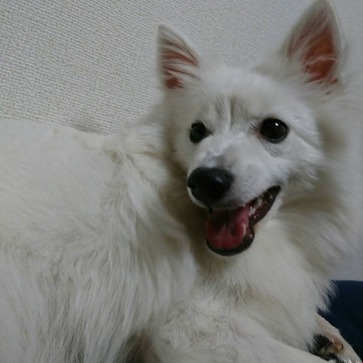 E6f251dd ea3b 49c0 880c 36535a7334e8