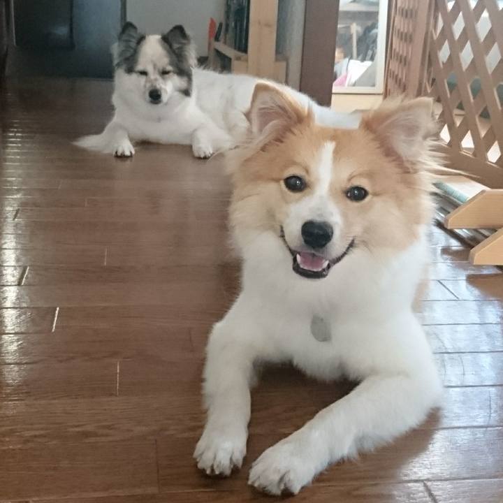 E6f2714b 0edd 485e 9f9d 39e251a27757