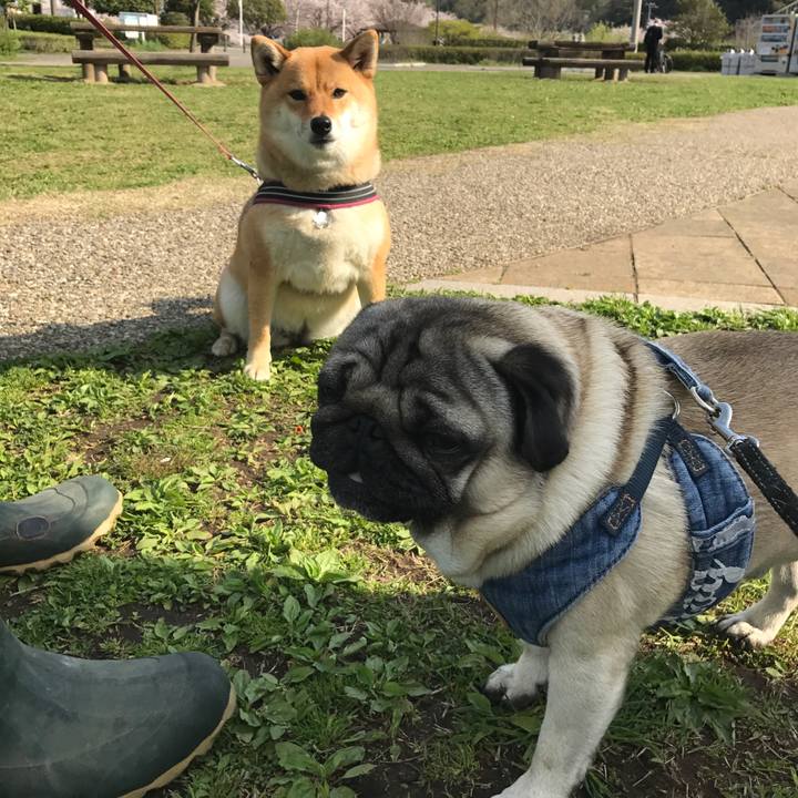 E6f2e024 b546 42e5 93f3 87aa2544782b