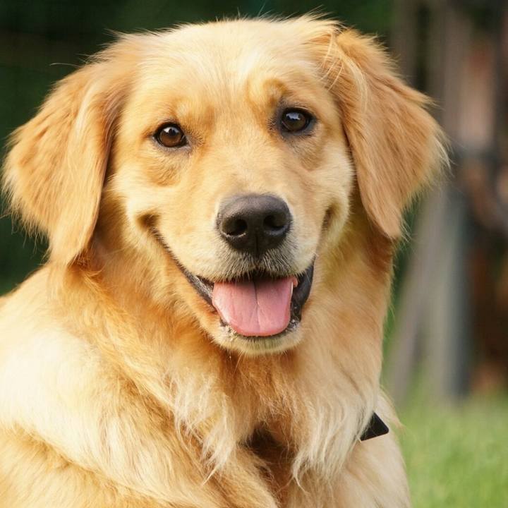 E6f32e53 68ef 4723 96dc 37bab4435260