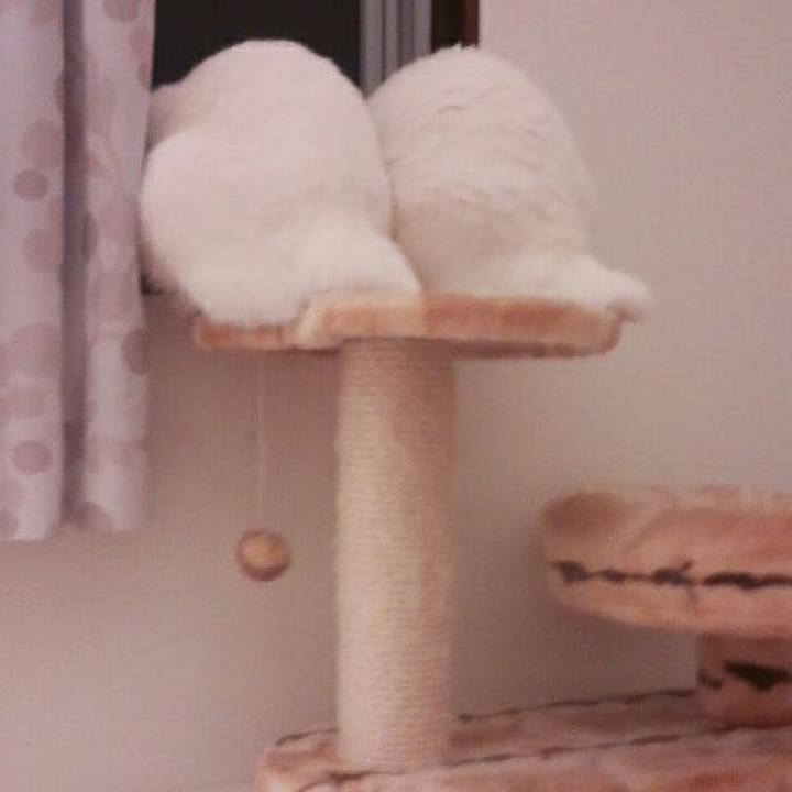 E6f35336 3820 4eae b152 34f27f533833