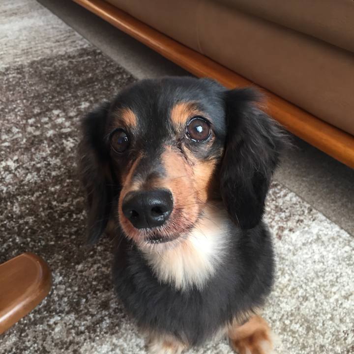 E6f3a412 3c87 4acb b48e d68307c3b382