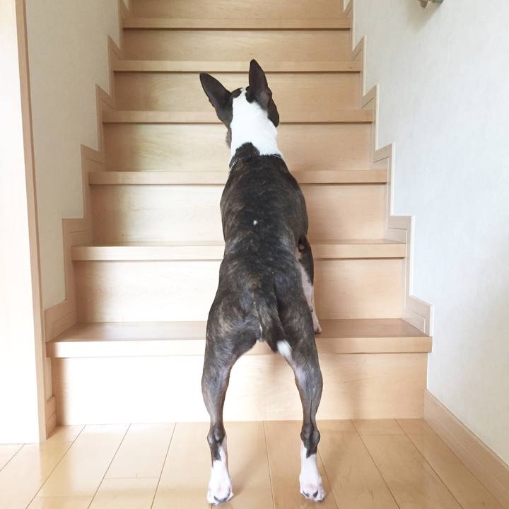 E6f3b18d 6c73 49d9 ad03 5f50194e3044