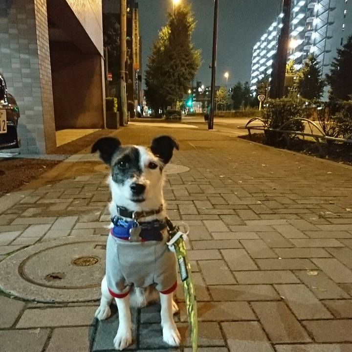 E6f3be35 c00d 4ccb a894 0c648664fc67