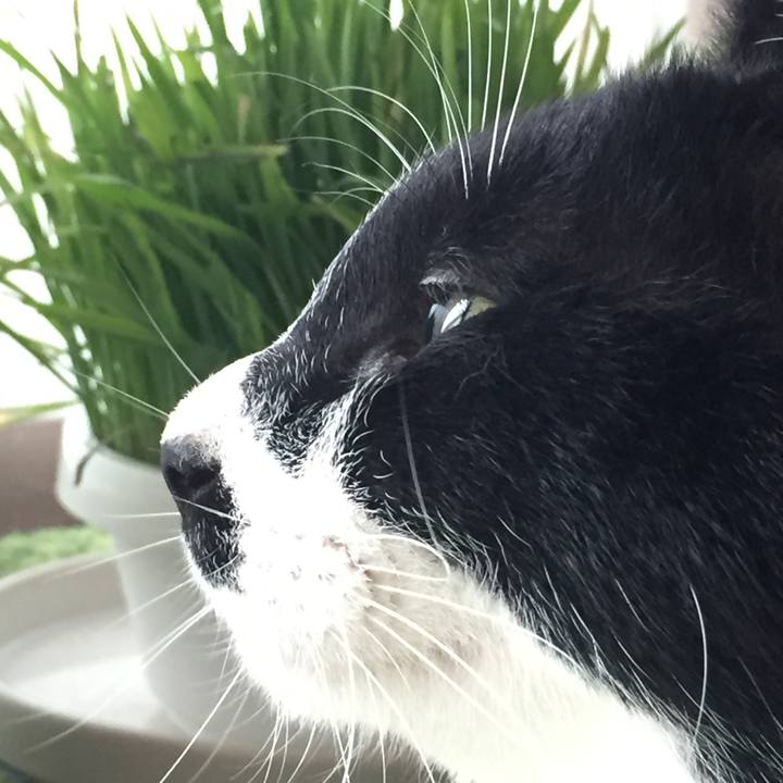 E6f45687 523c 49ac 83ac bbb7202d7065