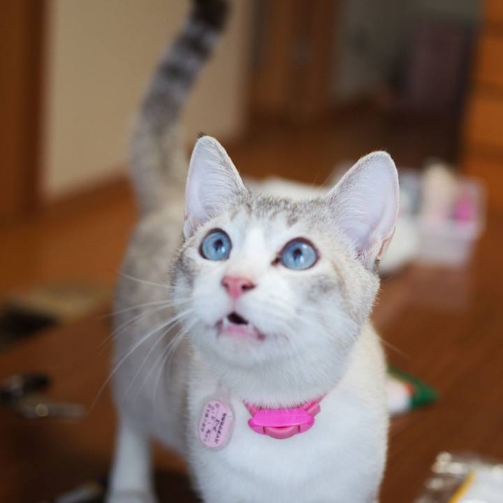 E6f48aac 9824 4844 8aea 51a89f718b78