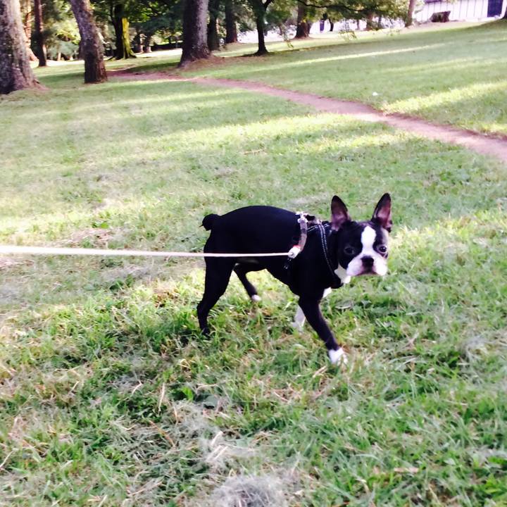 E6f48d2f 842d 486c af0e 9bd783f29ac1