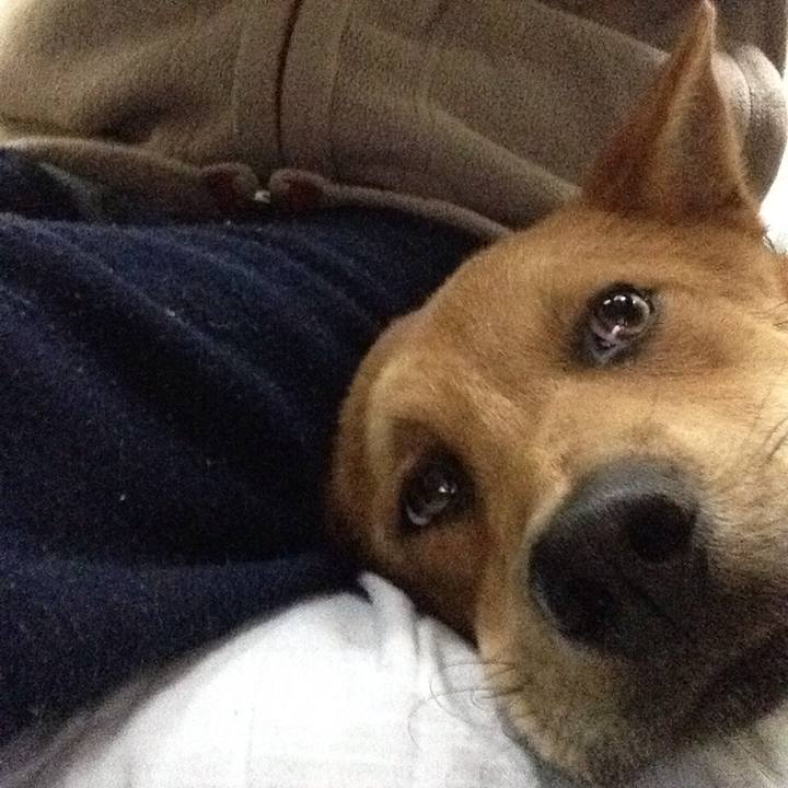 E6f4ea9b 6b73 46a5 a184 98539da1828d