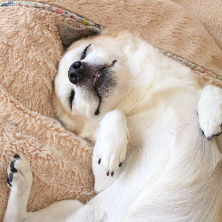 E6f57237 bd15 453b 9761 2c9717c78f11