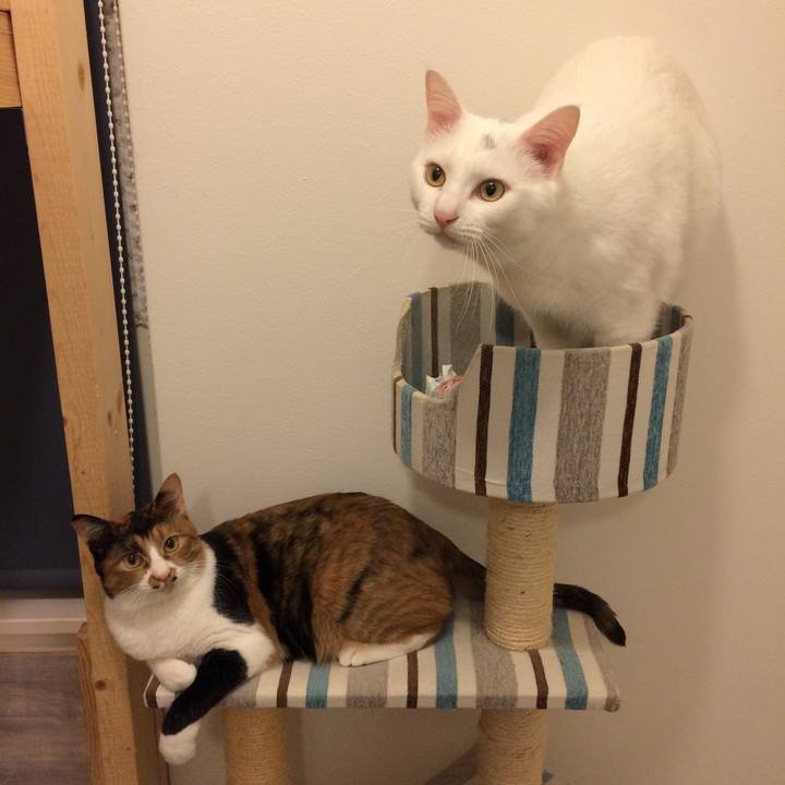 E6f579c3 8a5d 4309 a25c 17c281c296ff