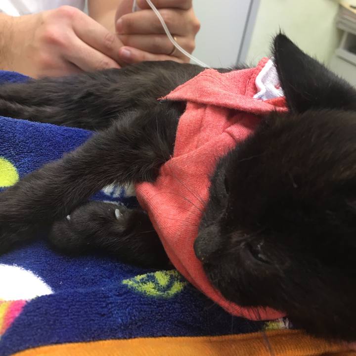 E6f5c9e6 61ce 4d17 95e4 5685cdb3ef17