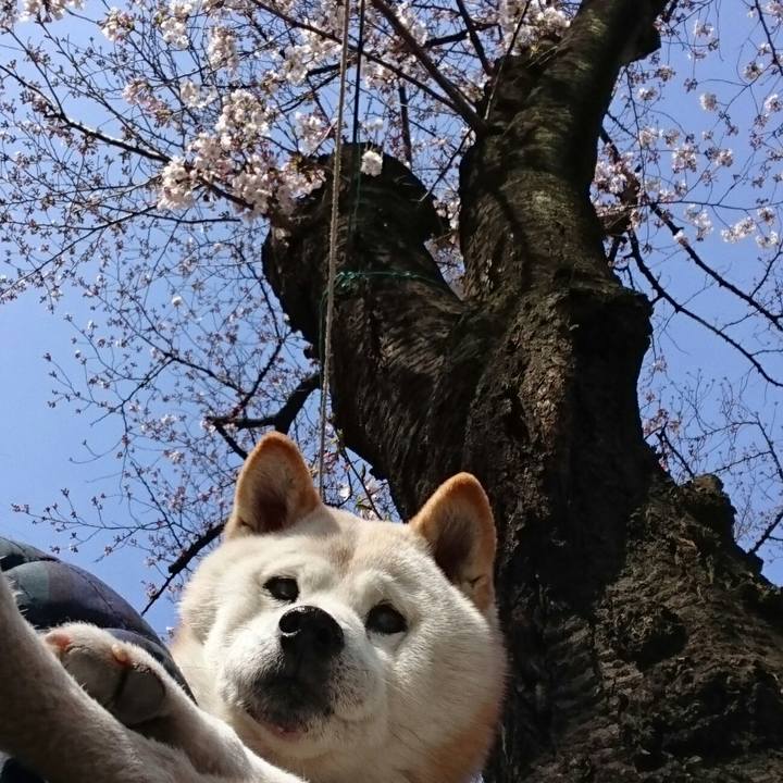 E6f7092c 4a04 4f9b bbc4 68eb8ac4c178