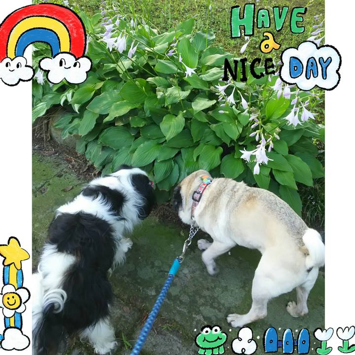 E6f70d40 2a8c 4c26 b210 42d096fe4d1d