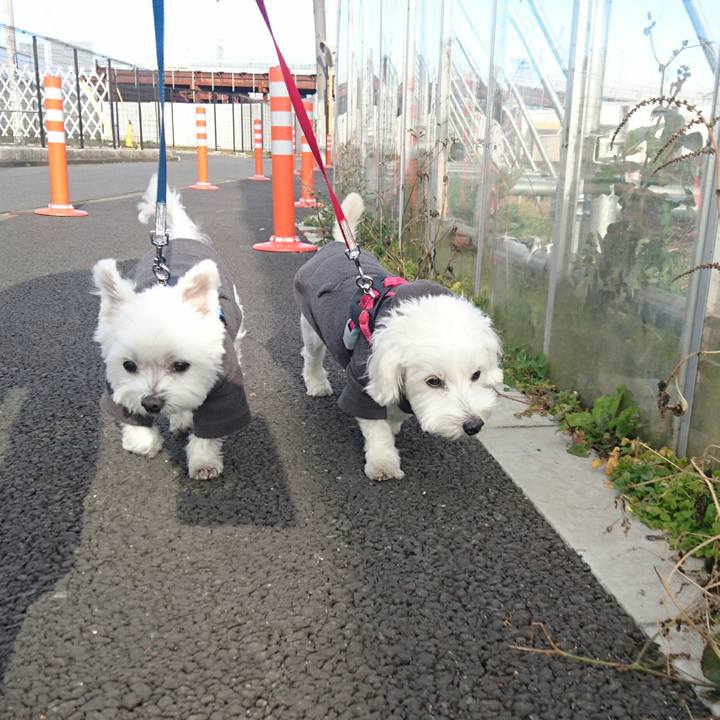 E6f73317 32bd 49f5 a886 ccc69c443c9c