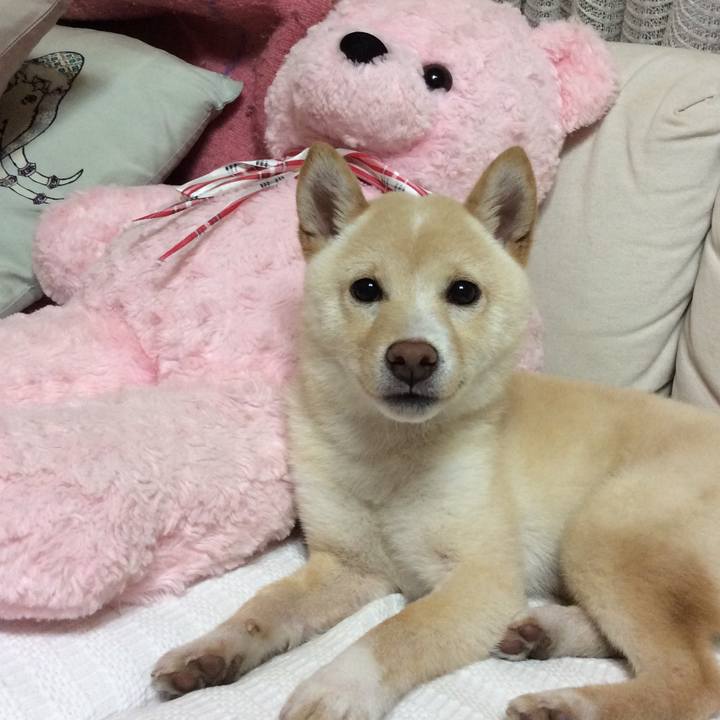 E6f8173d a480 40e8 8783 72ba9470b8cb