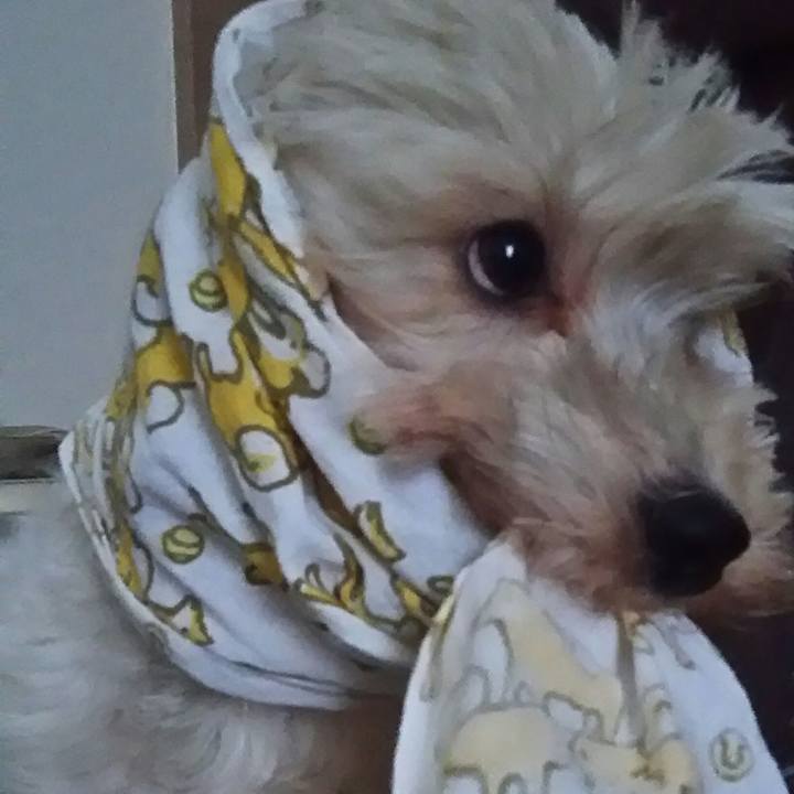 E6f83943 cd11 4ecf b121 5e9b8c975aaa