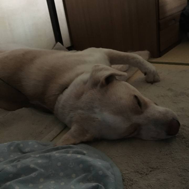 E6f89e71 94fc 41ec 8fa2 e3e410dcd374