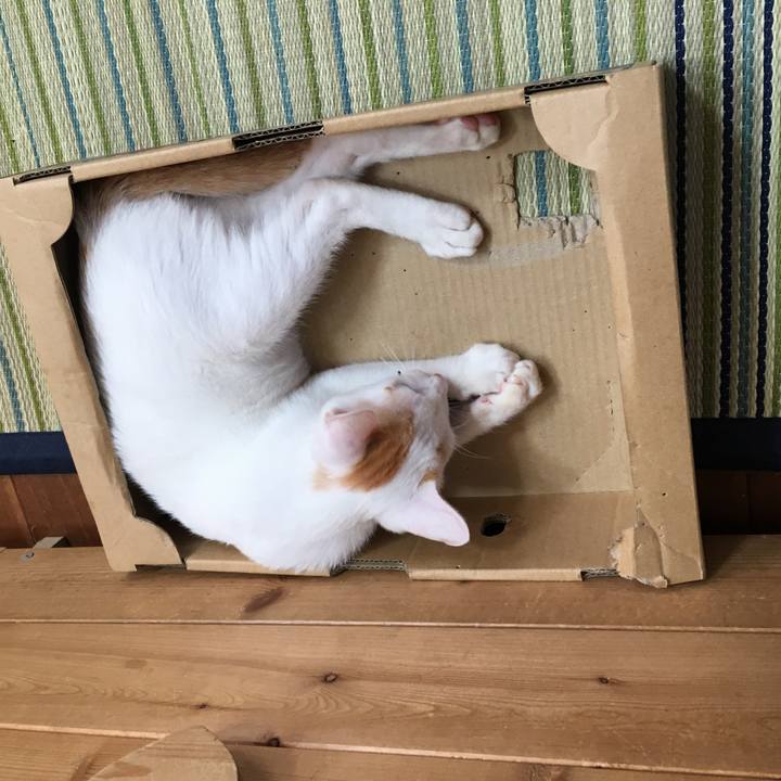 E6f9042d 1bbe 4800 9e90 80ca21ddc319