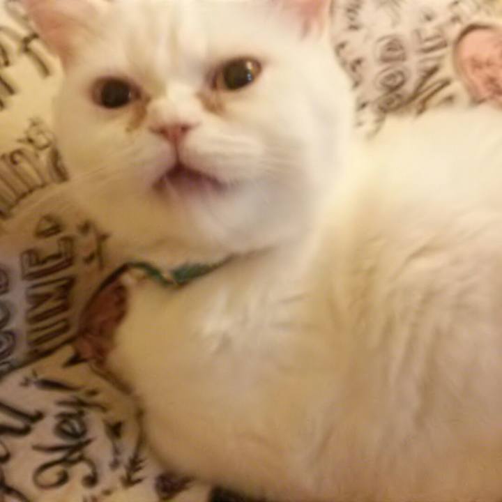 E6f945bc 619e 41dd a365 5f57f924e83d