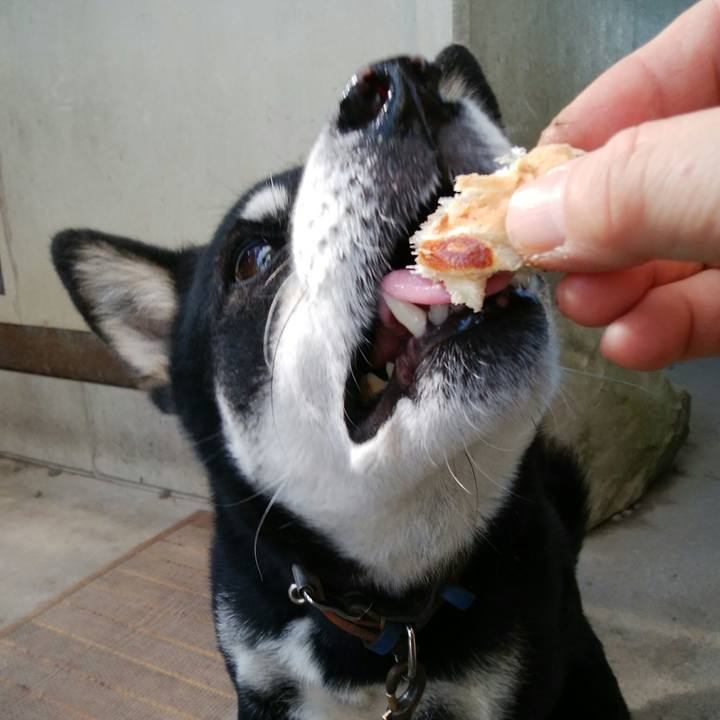 E6fab081 8490 496f b8c6 a8dcc7d889eb