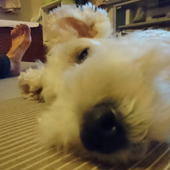 E6fabb45 32f9 4ada 9008 5fdbf7e9b1c6