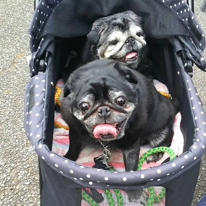 E6faca4d 379c 4723 9c52 dfda0db8b738