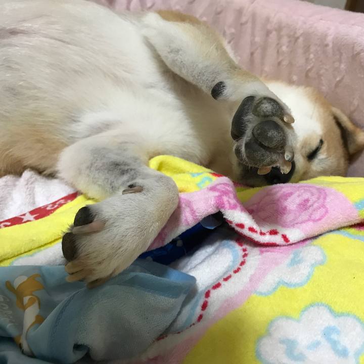 E6fb692a a4ab 4e94 953f 74734e275419