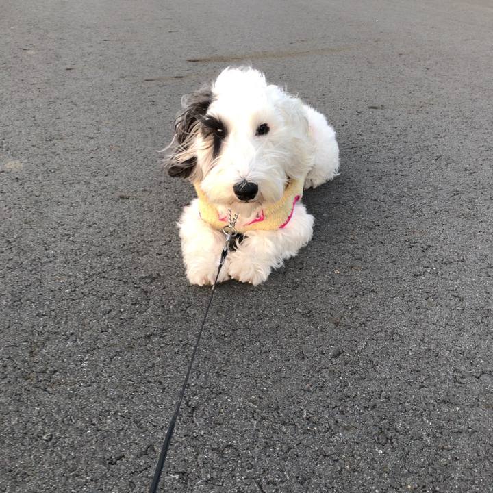 E6fbda0b da05 4c66 9746 a9c9a448c6ec