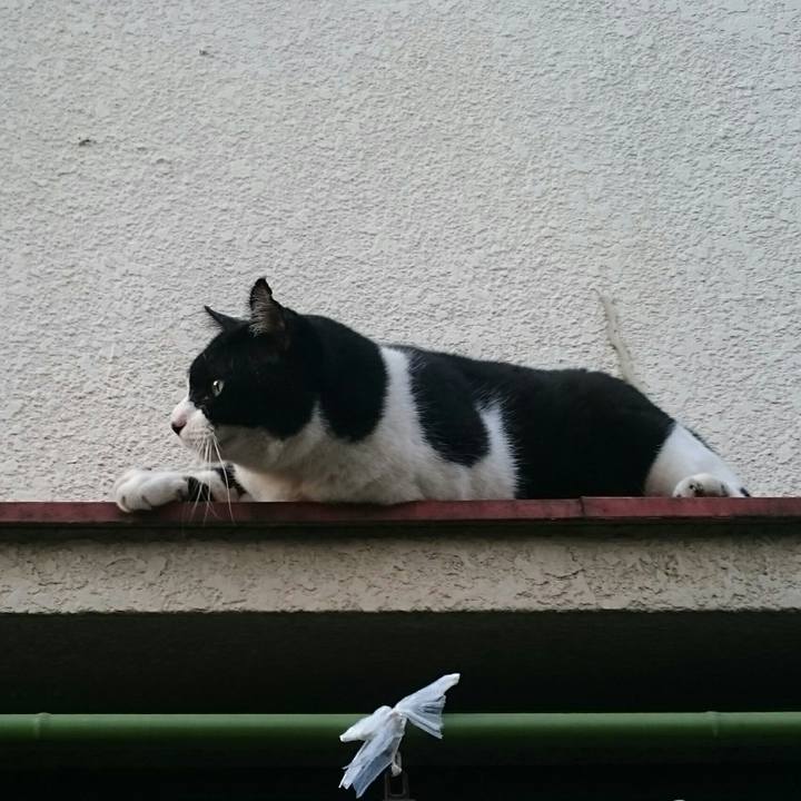 E6fcfa2c 1677 43b1 920e e7dc3a970562