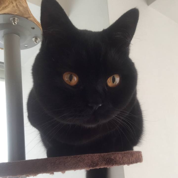 E6fd2d28 8abc 4dc4 8e89 f59e20424152