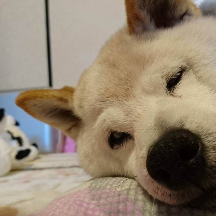 E6fd39c5 1cdb 442f 94b0 0599d9191f31