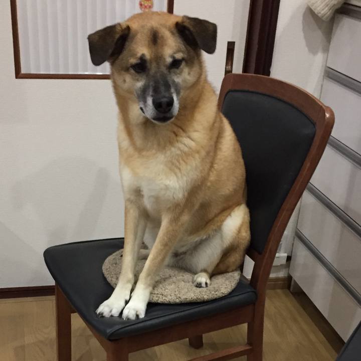 E6fd54f8 0789 473c a36e 870e6d52b55a